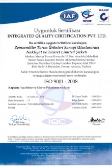 ISO-9001-2008